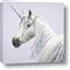 Picture of Purple Unicorn