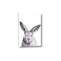Picture of Big Bunny _GroupedProduct_Rectangle_Portrait_Canvas_