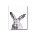 Picture of Big Bunny _GroupedProduct_Rectangle_Portrait_Canvas_