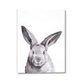 Picture of Big Bunny _GroupedProduct_Rectangle_Portrait_Canvas_