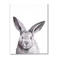 Picture of Big Bunny _GroupedProduct_Rectangle_Portrait_Canvas_