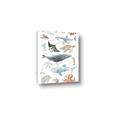 Picture of Sea Life _GroupedProduct_Rectangle_Portrait_Canvas_