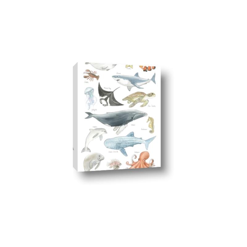 Picture of Sea Life _GroupedProduct_Rectangle_Portrait_Canvas_