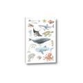 Picture of Sea Life _GroupedProduct_Rectangle_Portrait_Canvas_