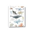 Picture of Sea Life _GroupedProduct_Rectangle_Portrait_Canvas_