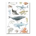 Picture of Sea Life _GroupedProduct_Rectangle_Portrait_Canvas_