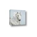 Picture of Blue Unicorn _GroupedProduct_Square_Canvas_