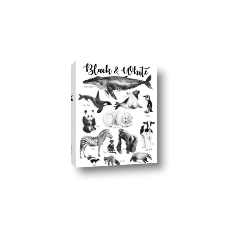Picture of Black and white Animals _GroupedProduct_Rectangle_Portrait_Canvas_