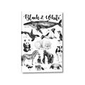 Picture of Black and white Animals _GroupedProduct_Rectangle_Portrait_Canvas_