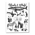 Picture of Black and white Animals _GroupedProduct_Rectangle_Portrait_Canvas_