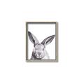 Picture of Big Bunny _GroupedProduct_Rectangle_Portrait_Canvas_Framed_