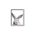 Picture of Big Bunny _GroupedProduct_Rectangle_Portrait_Canvas_Framed_