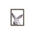 Picture of Big Bunny _GroupedProduct_Rectangle_Portrait_Canvas_Framed_