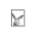 Picture of Big Bunny _GroupedProduct_Rectangle_Portrait_Canvas_Framed_