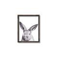 Picture of Big Bunny _GroupedProduct_Rectangle_Portrait_Canvas_Framed_