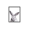 Picture of Big Bunny _GroupedProduct_Rectangle_Portrait_Canvas_Framed_