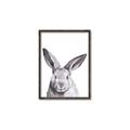 Picture of Big Bunny _GroupedProduct_Rectangle_Portrait_Canvas_Framed_