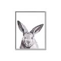 Picture of Big Bunny _GroupedProduct_Rectangle_Portrait_Canvas_Framed_