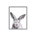 Picture of Big Bunny _GroupedProduct_Rectangle_Portrait_Canvas_Framed_