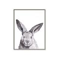 Picture of Big Bunny _GroupedProduct_Rectangle_Portrait_Canvas_Framed_