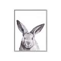Picture of Big Bunny _GroupedProduct_Rectangle_Portrait_Canvas_Framed_