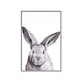 Picture of Big Bunny _GroupedProduct_Rectangle_Portrait_Canvas_Framed_