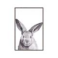 Picture of Big Bunny _GroupedProduct_Rectangle_Portrait_Canvas_Framed_