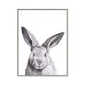 Picture of Big Bunny _GroupedProduct_Rectangle_Portrait_Canvas_Framed_