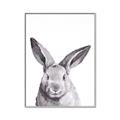 Picture of Big Bunny _GroupedProduct_Rectangle_Portrait_Canvas_Framed_
