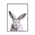 Picture of Big Bunny _GroupedProduct_Rectangle_Portrait_Canvas_Framed_