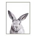 Picture of Big Bunny _GroupedProduct_Rectangle_Portrait_Canvas_Framed_