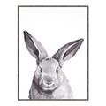Picture of Big Bunny _GroupedProduct_Rectangle_Portrait_Canvas_Framed_