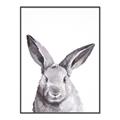 Picture of Big Bunny _GroupedProduct_Rectangle_Portrait_Canvas_Framed_