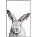 Picture of Big Bunny _GroupedProduct_Rectangle_Portrait_Canvas_Framed_