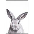 Picture of Big Bunny _GroupedProduct_Rectangle_Portrait_Canvas_Framed_