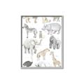 Picture of Zoo  Life _GroupedProduct_Rectangle_Portrait_Canvas_Framed_