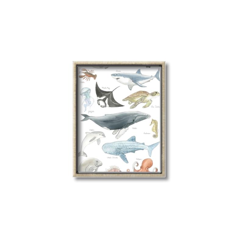 Picture of Sea Life _GroupedProduct_Rectangle_Portrait_Canvas_Framed_