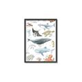 Picture of Sea Life _GroupedProduct_Rectangle_Portrait_Canvas_Framed_