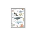 Picture of Sea Life _GroupedProduct_Rectangle_Portrait_Canvas_Framed_