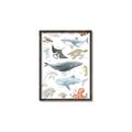 Picture of Sea Life _GroupedProduct_Rectangle_Portrait_Canvas_Framed_