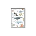 Picture of Sea Life _GroupedProduct_Rectangle_Portrait_Canvas_Framed_