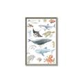 Picture of Sea Life _GroupedProduct_Rectangle_Portrait_Canvas_Framed_