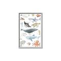 Picture of Sea Life _GroupedProduct_Rectangle_Portrait_Canvas_Framed_