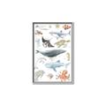 Picture of Sea Life _GroupedProduct_Rectangle_Portrait_Canvas_Framed_