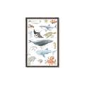 Picture of Sea Life _GroupedProduct_Rectangle_Portrait_Canvas_Framed_
