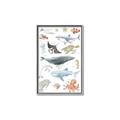 Picture of Sea Life _GroupedProduct_Rectangle_Portrait_Canvas_Framed_