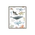 Picture of Sea Life _GroupedProduct_Rectangle_Portrait_Canvas_Framed_