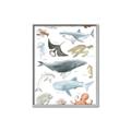 Picture of Sea Life _GroupedProduct_Rectangle_Portrait_Canvas_Framed_