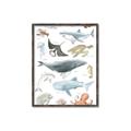 Picture of Sea Life _GroupedProduct_Rectangle_Portrait_Canvas_Framed_
