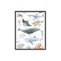 Picture of Sea Life _GroupedProduct_Rectangle_Portrait_Canvas_Framed_